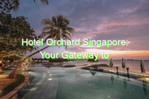 Hotel Orchard Singapore: Your Gateway to Singapore’s Best Attractions