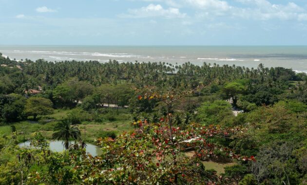 villa hedonia seminyak