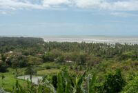 Lush green landscape overlooking the ocean at Arraial d'Ajuda, Bahia, Brazil under a blue sky.