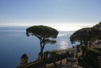 Breathtaking view of the Amalfi coastline with iconic pine trees silhouetted against the sea.