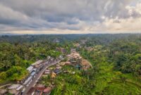 Aerial shot of lush green rice terraces and village in Bali, showcasing vibrant landscapes.