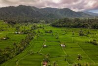 Aerial view of vibrant green rice terraces in Bali, framed by mountains and cloudy skies.