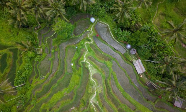 villa sonia bisma ubud