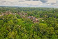 Stunning aerial shot of lush forest and a traditional village in Bali, Indonesia.